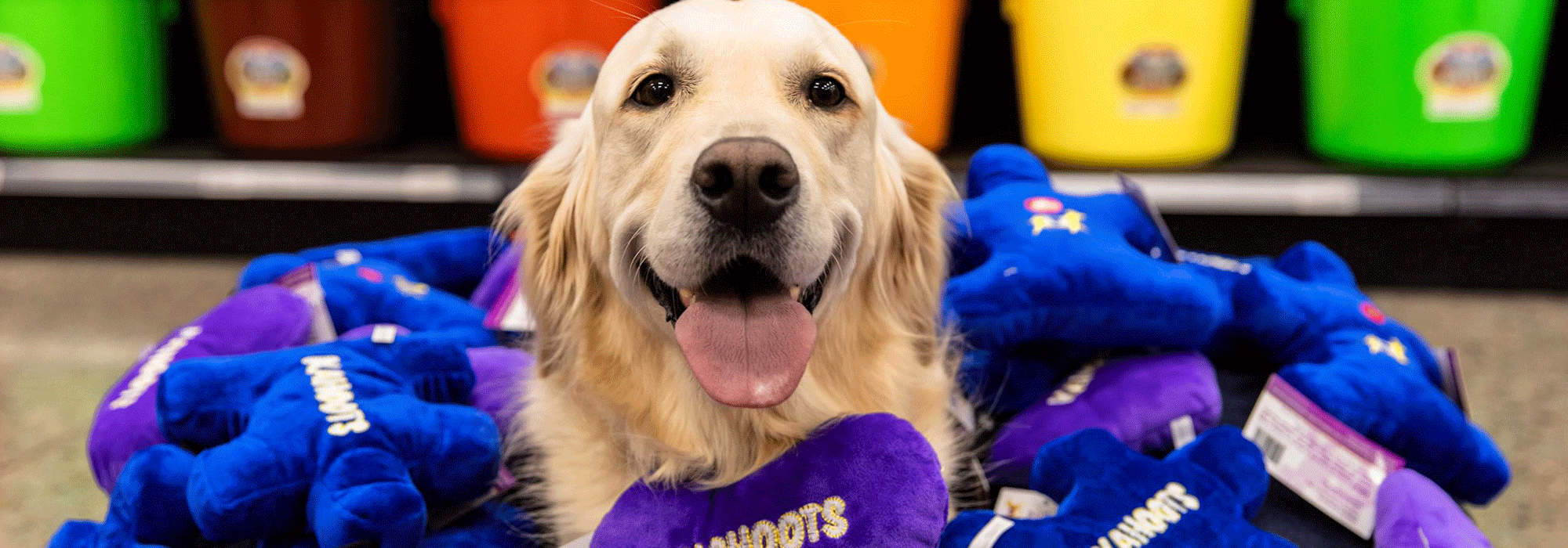 kahoots1 Guide Dogs of America